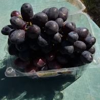 אוטום רויאל - סגול