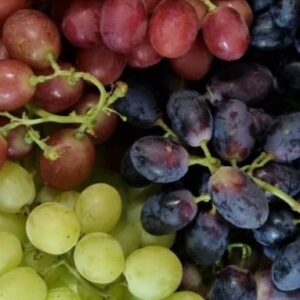 מארז חגים של 3 צבעים ללא גרעינים