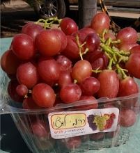 רדלוש - אדום