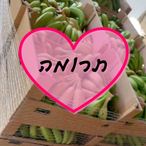 תרומה - בננות